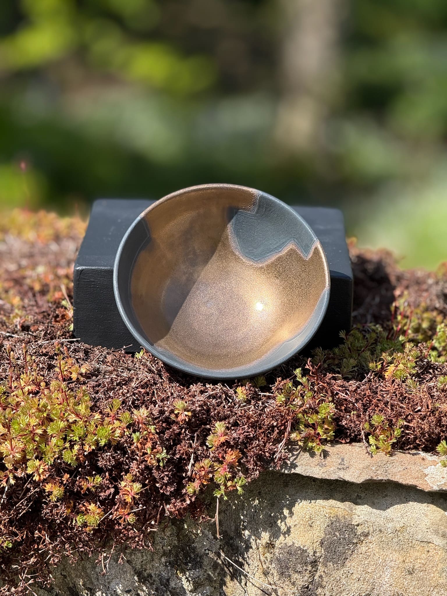 Bronze and black bowl, study one