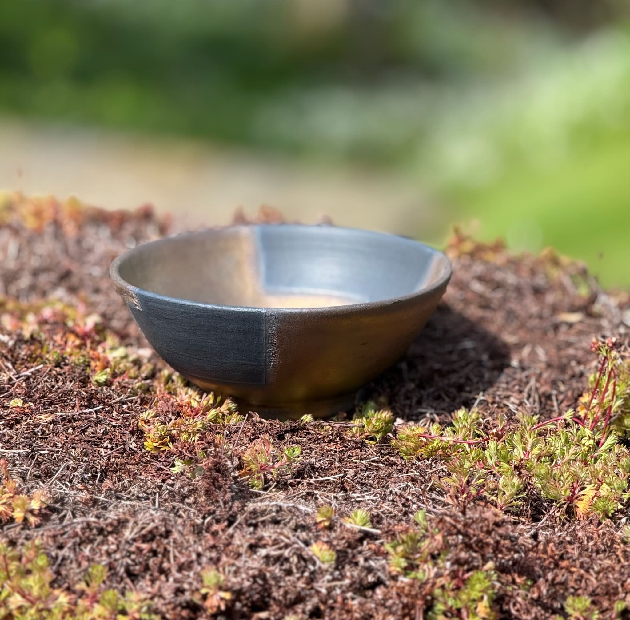 Bronze and black bowl, study two