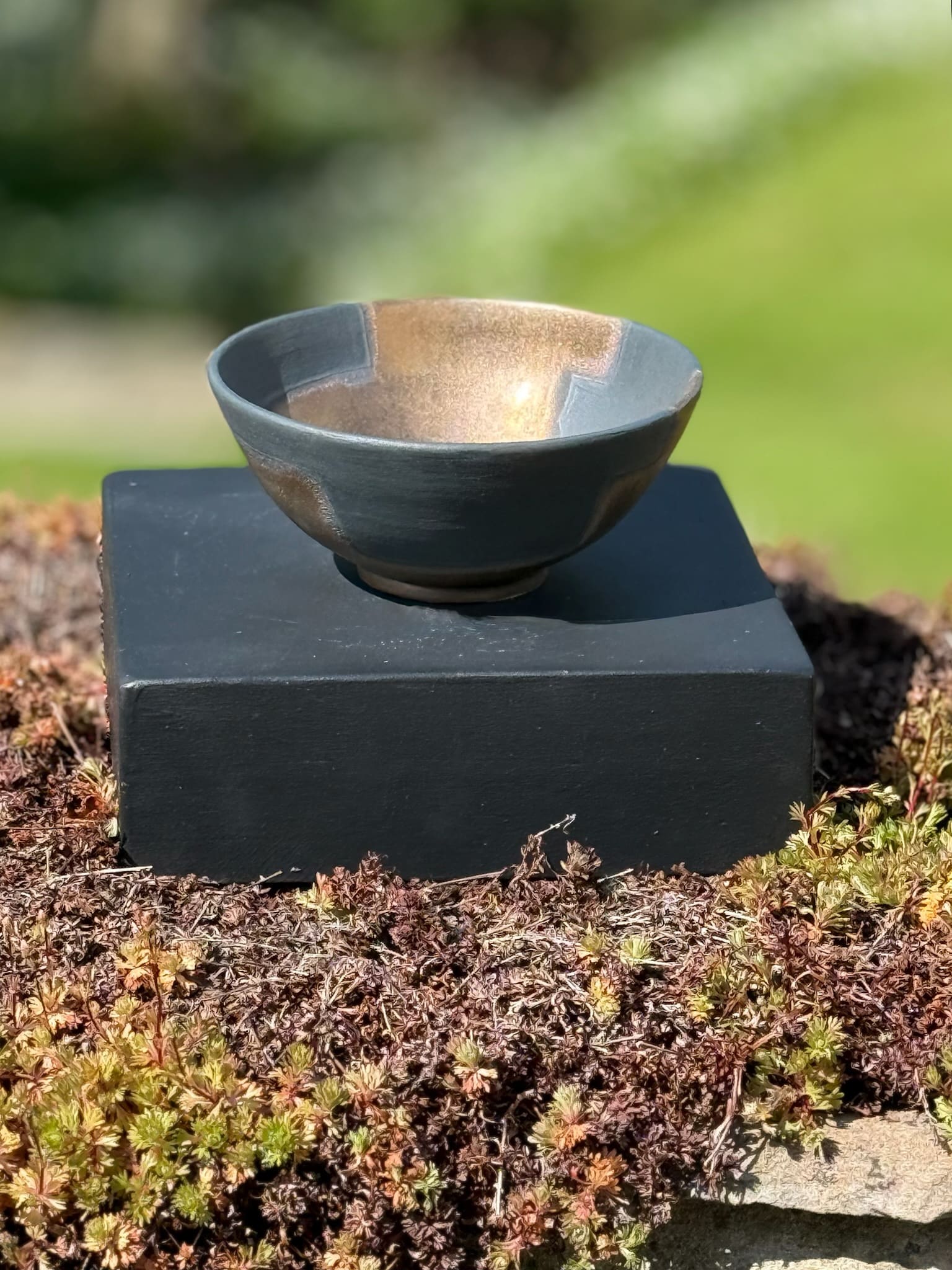 Bronze and black bowl, study four