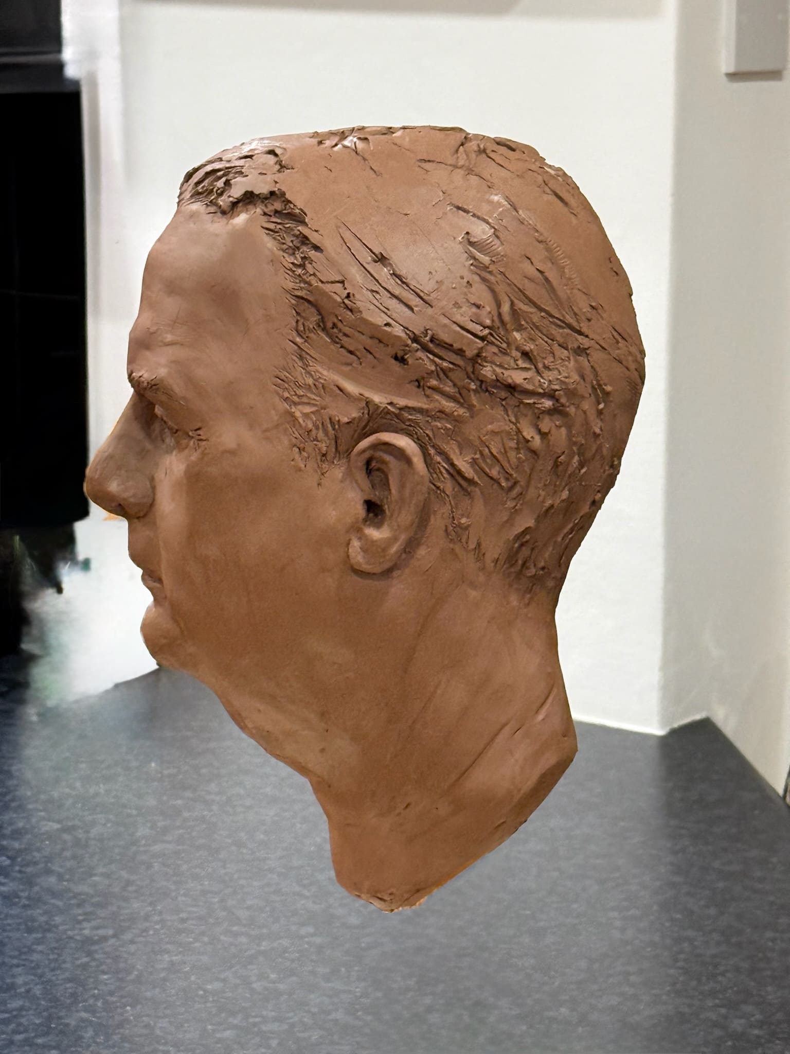 Terracotta portrait head sculpture, profile study